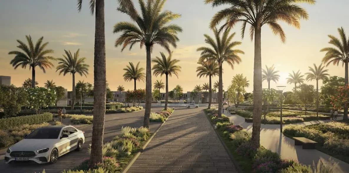 كنز، زايد الجديدة — صورة 3